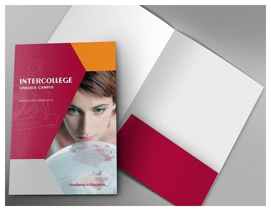Project Profile Designing and Printing
