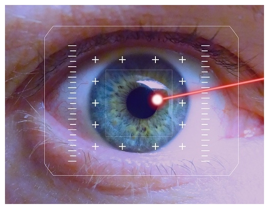 Retina Security Scanner Software Bangladesh