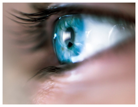 Retina Security Scanner Software Bangladesh