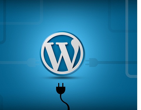 Best Wordpress Customization Course,  BLACK iz IT Institute's Wordpress Customization Course,  Wordpress Customization Course Bangladesh, Wordpress Customization Course, best it institute's best course,  best it  Wordpress Customization Course  from bangladesh, dhaka Wordpress Customization Course