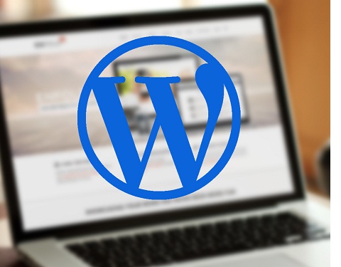 Best Wordpress Customization Course,  BLACK iz IT Institute's Wordpress Customization Course,  Wordpress Customization Course Bangladesh, Wordpress Customization Course, best it institute's best course,  best it  Wordpress Customization Course  from bangladesh, dhaka Wordpress Customization Course