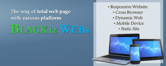Business & Company Static Cheap Web Design Packages design-development-bangladesh